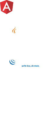 custom application development languages