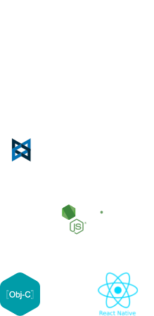 custom application development frameworks