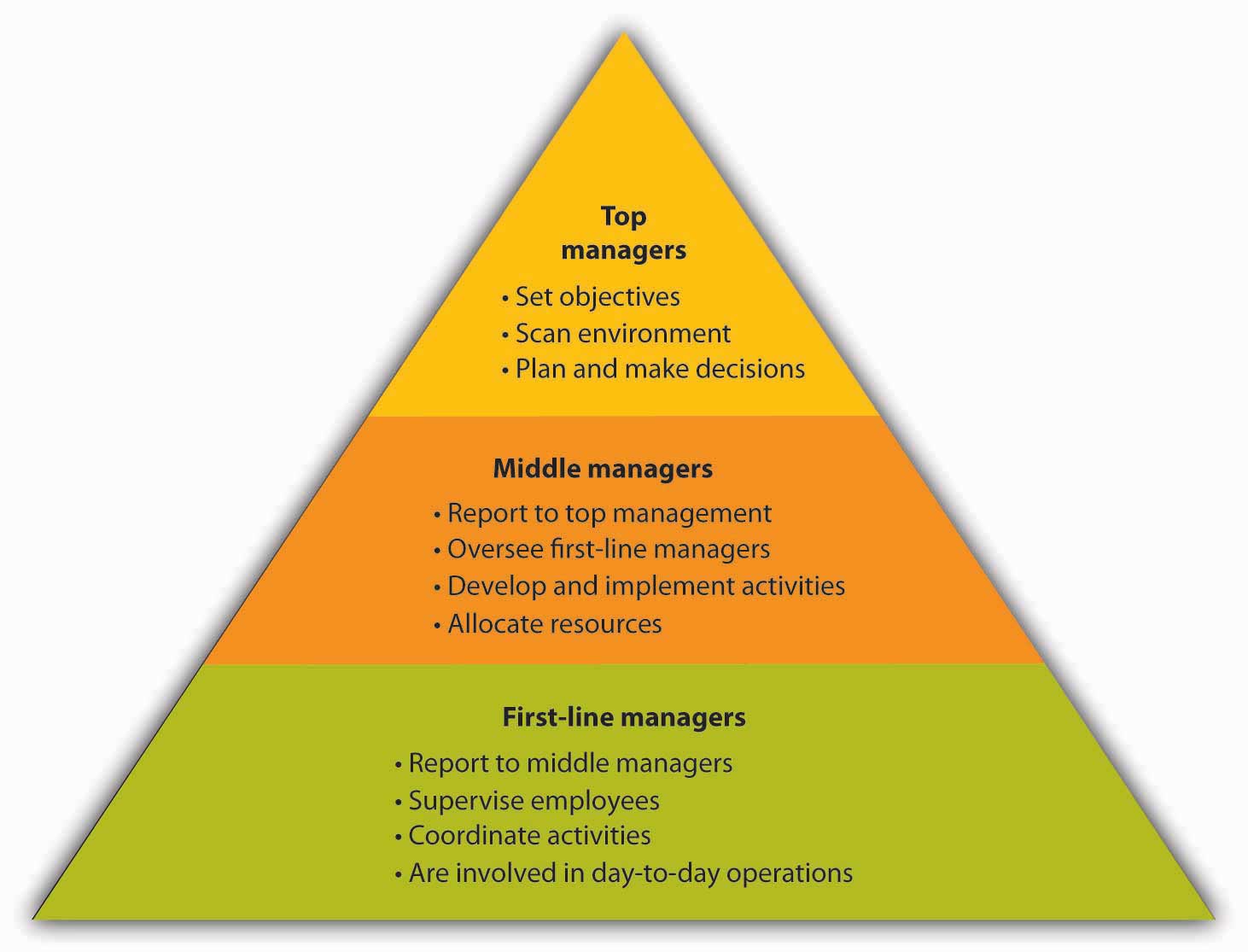 exploring business organization